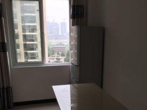 精品兩室一廳首次出租，文化路新中百廣場對面，便捷生活觸手可及