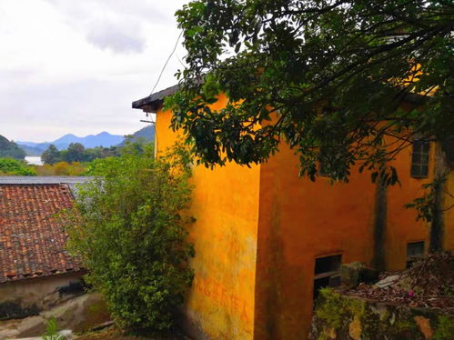 從化流溪河林場旅游區(qū)房屋與土地出租信息