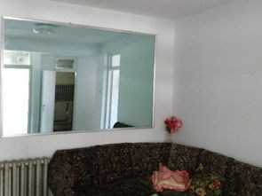 呼和浩特鼓樓精品學區(qū)房出租 優(yōu)質教育資源與便捷生活的完美結合